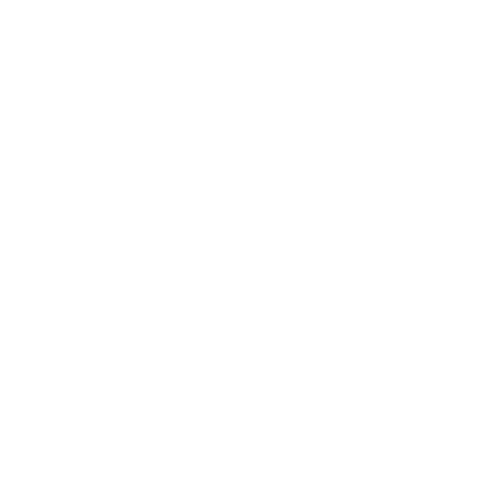 logo Envì Group