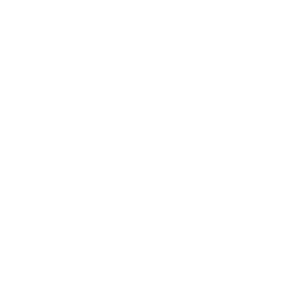 logo Nitidus e Salubris