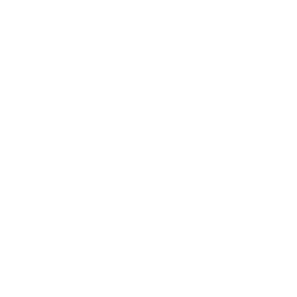 logo Safety Work Services