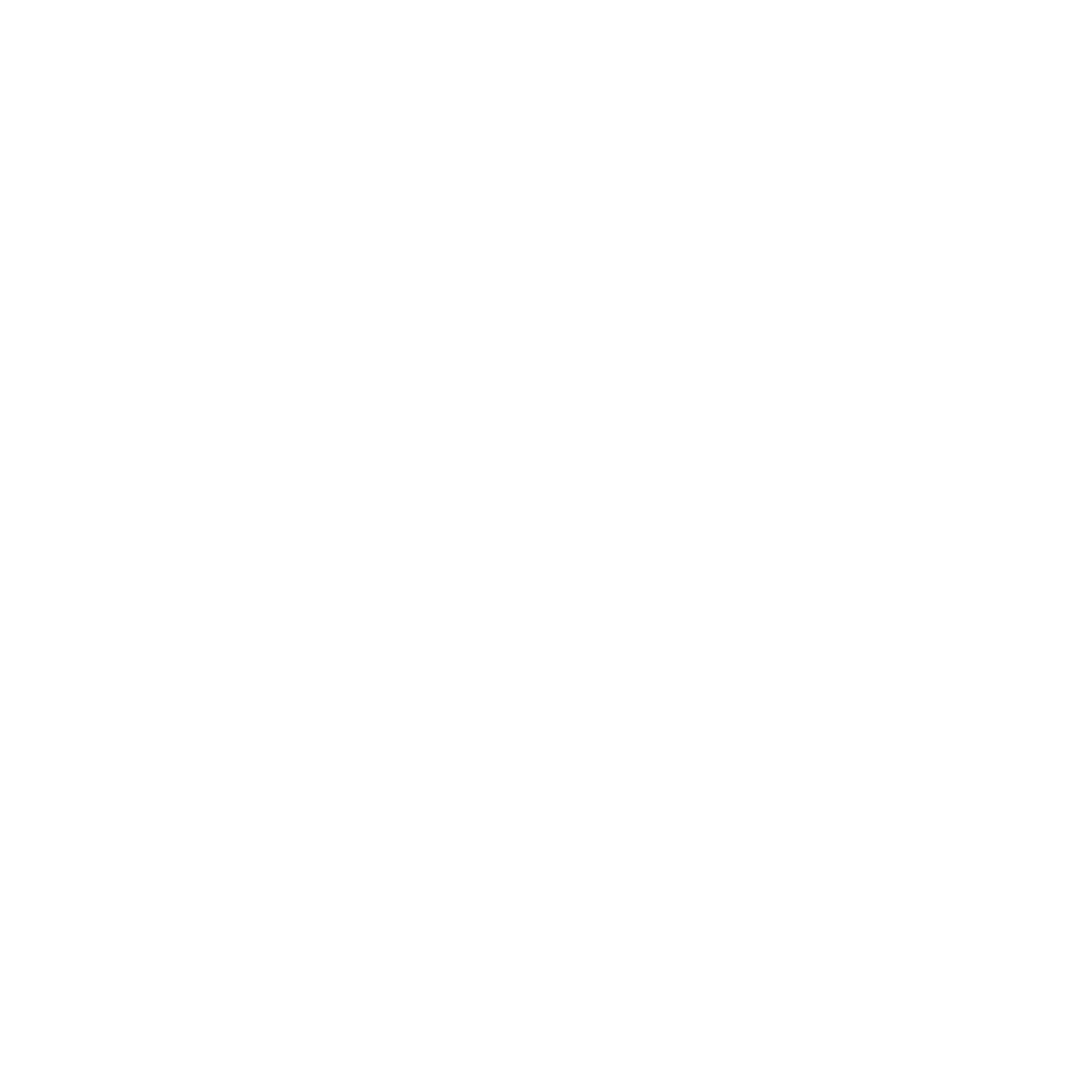 logo CAI Service Group